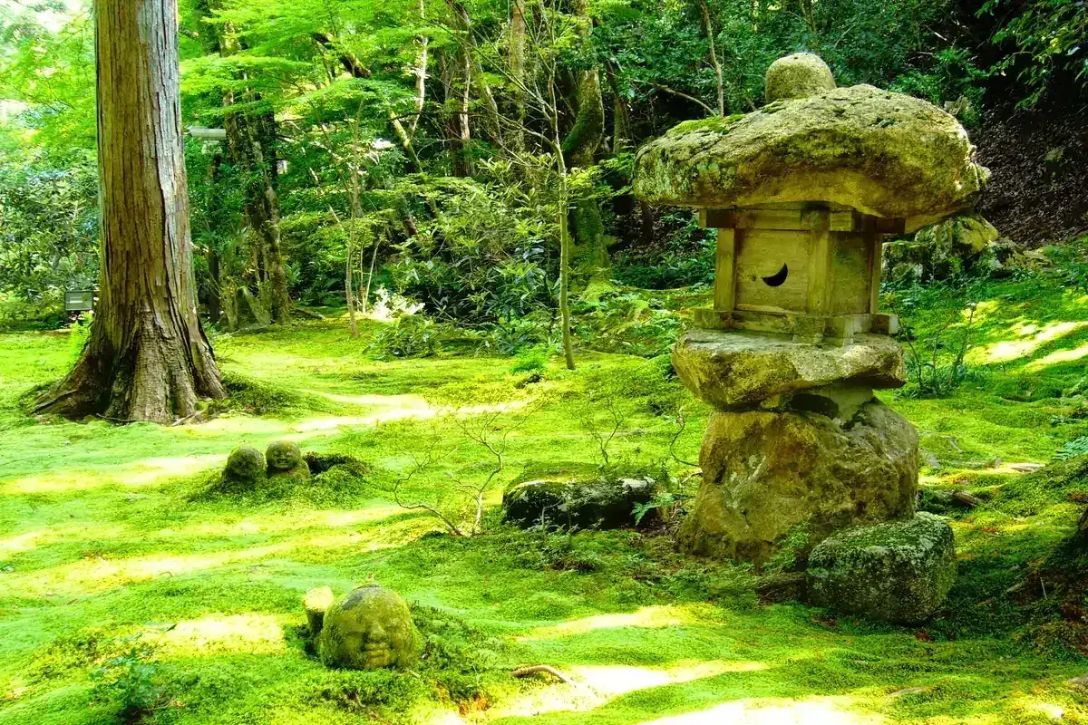 The moss garden of Sanzen-in in Ohara, a day trip from Kyoto by Kyoto Bus 17
