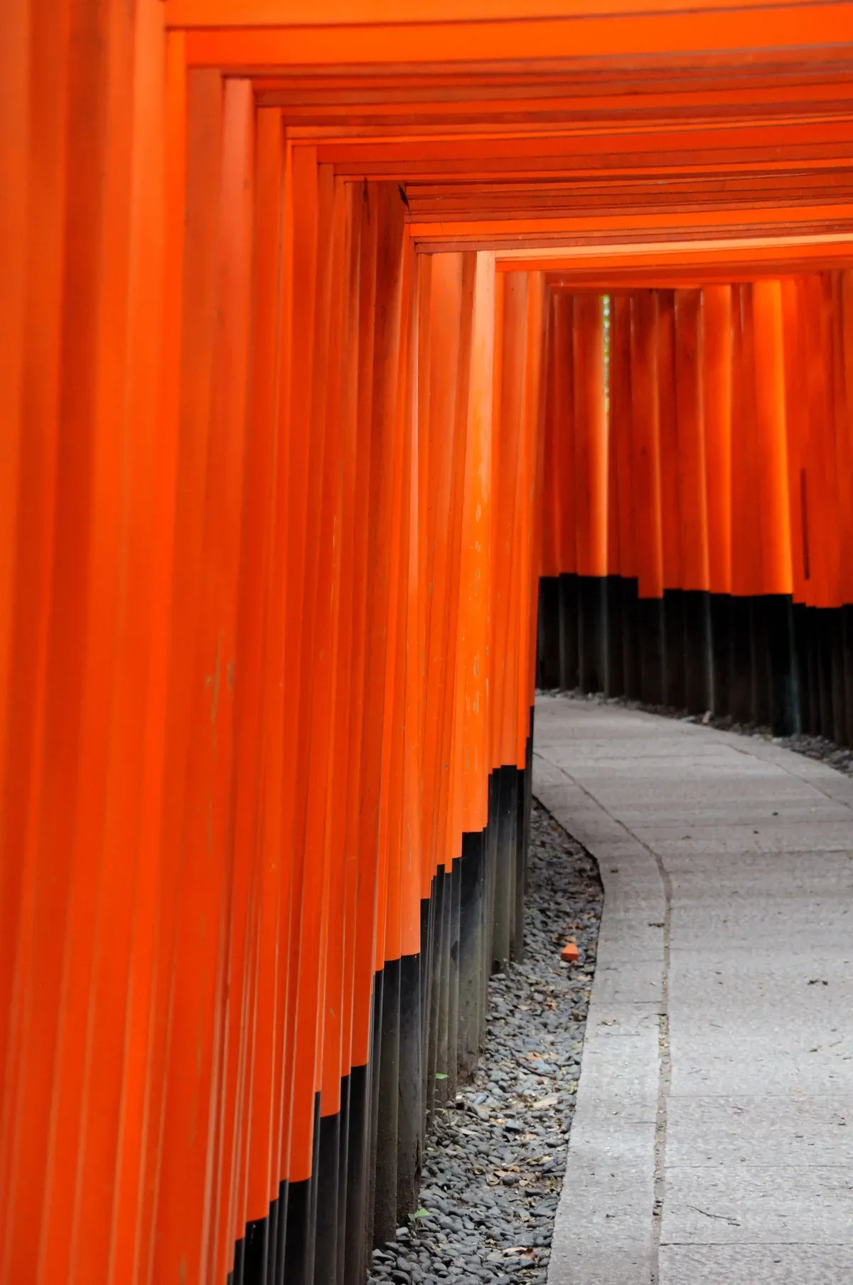 Vermilion torii tunnel at Fushimi Inari-taisha on a Nara, Fushimi Inari and Arashiyama day tour from Kyoto