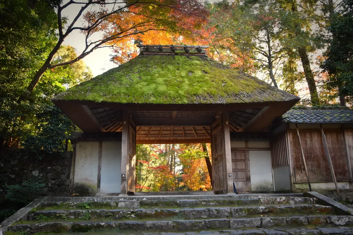 Moss-roofed gate at Honen-in in autumn leaves, a quiet temple for a day trip from Kyoto