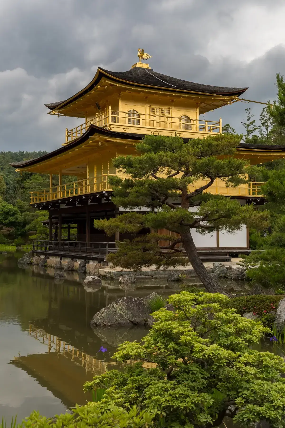 Kinkaku-ji golden pavilion above its pond on a day tour from Kyoto