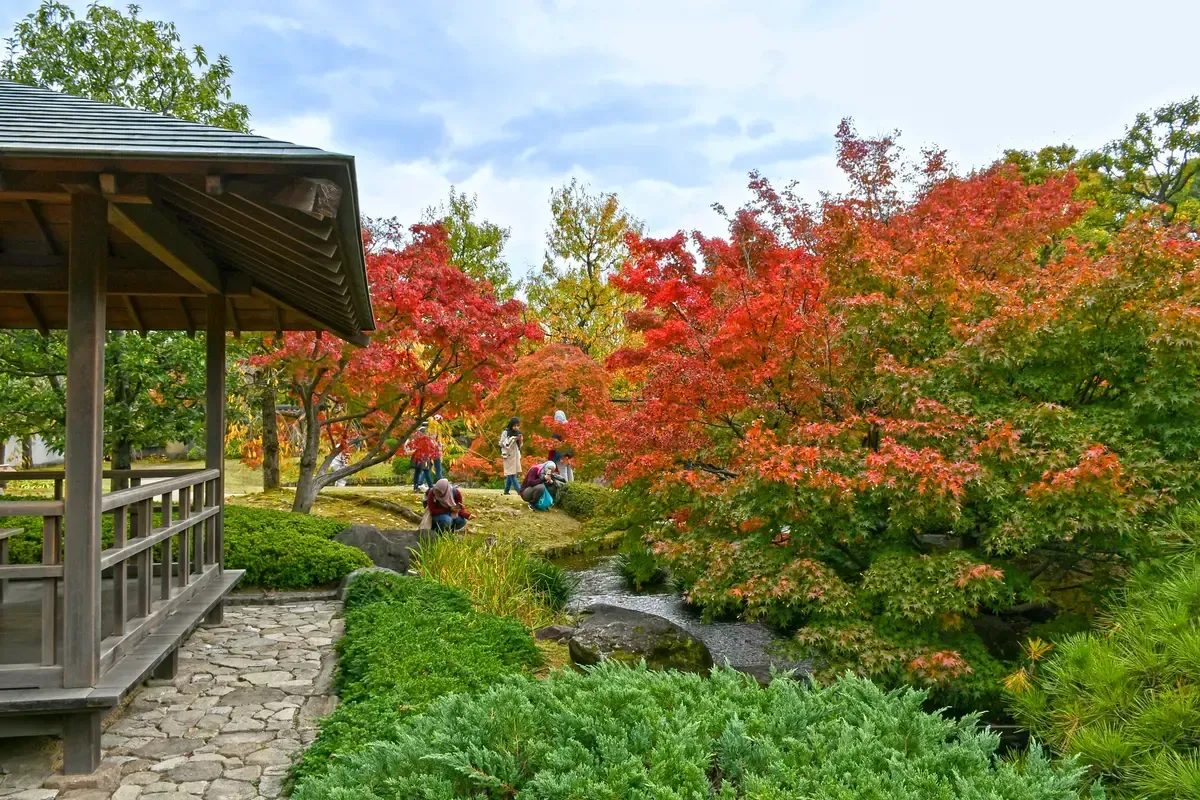 Red maples at Koko-en garden on a day trip from Kyoto to Himeji