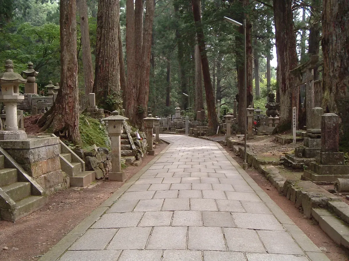 Cedar-lined path to Okunoin on Koyasan on a two day trip from Kyoto