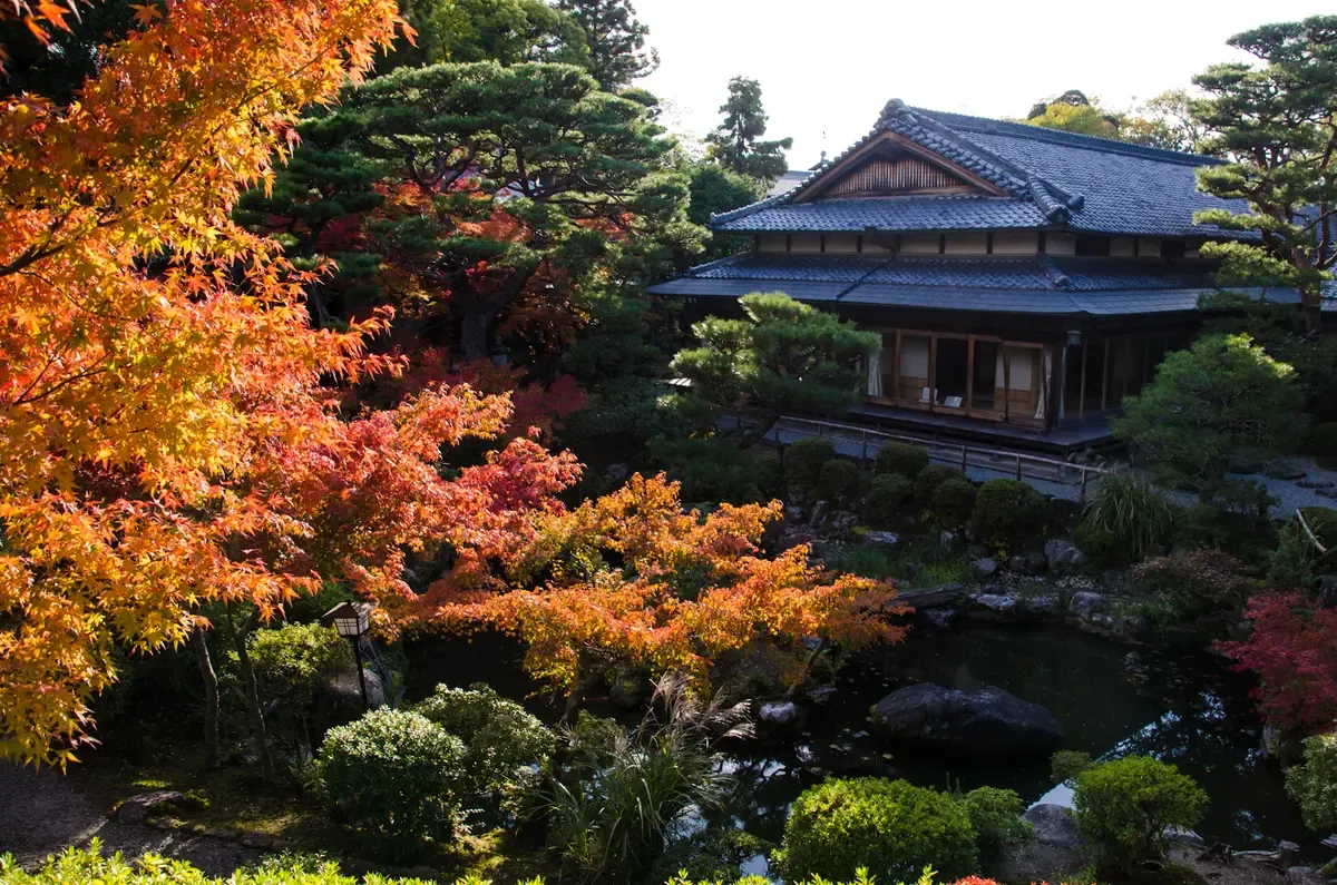Yoshikien garden in autumn colour on a day trip from Kyoto to Nara